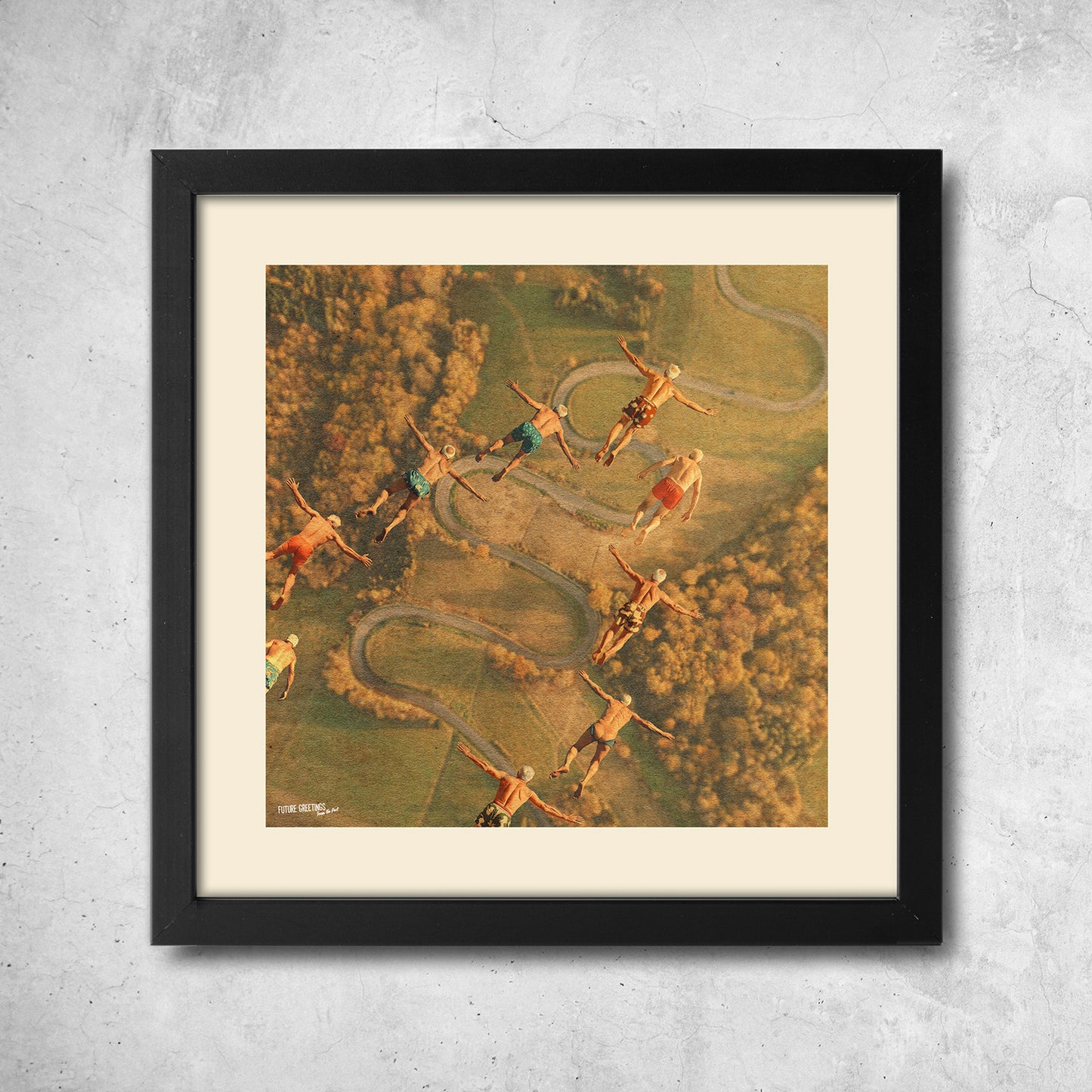migratory birds 2