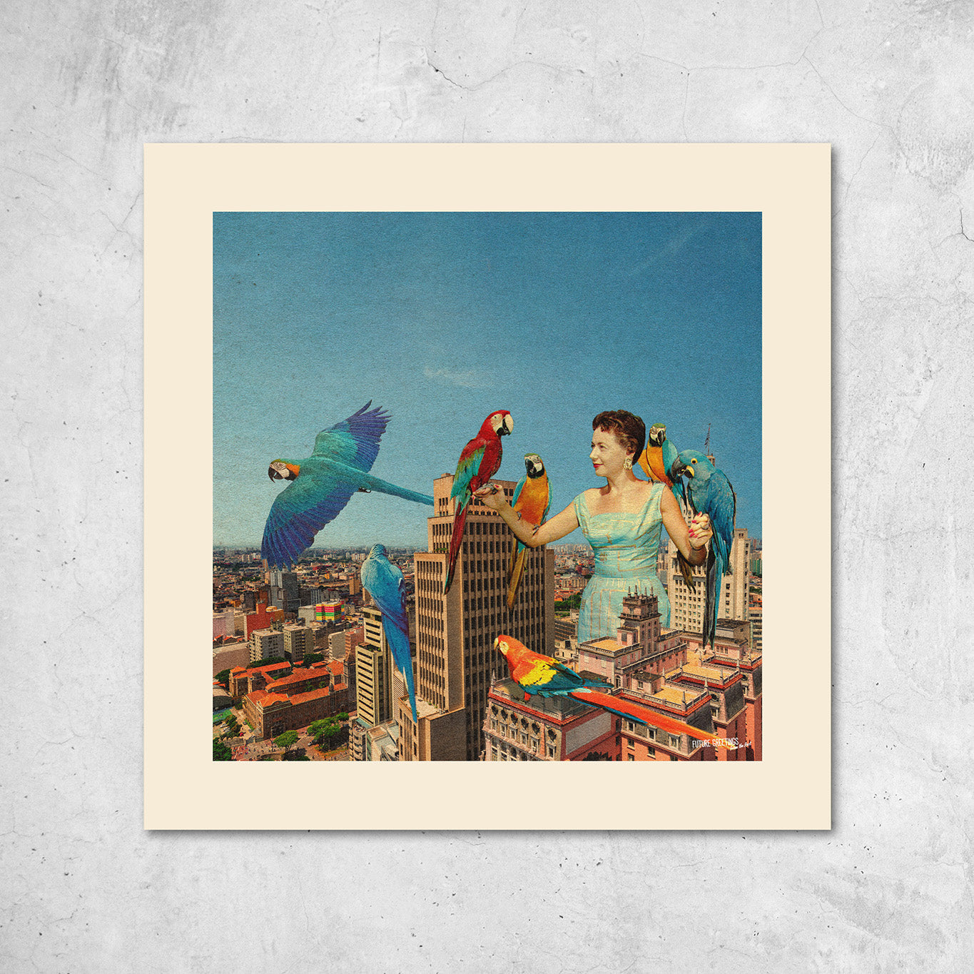 Pa-pa-parrot