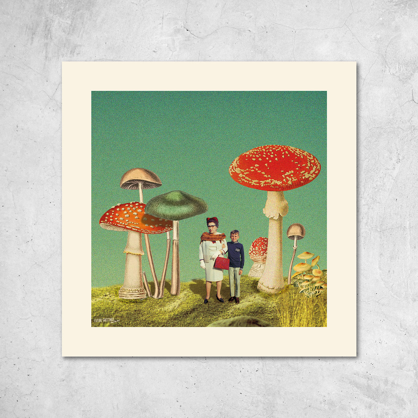 magic mushrooms