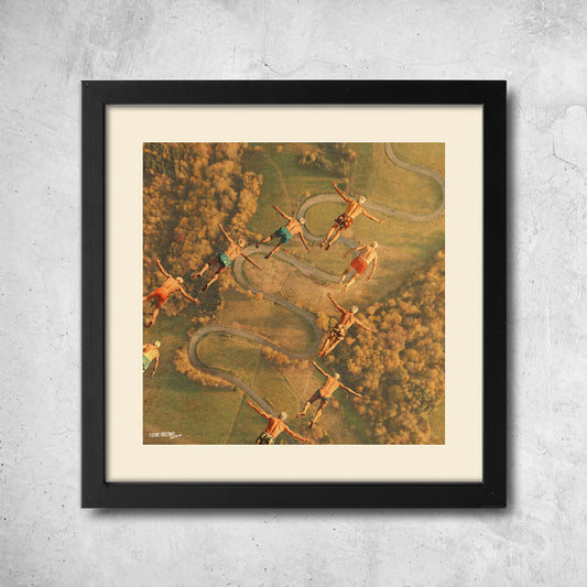 migratory birds 2
