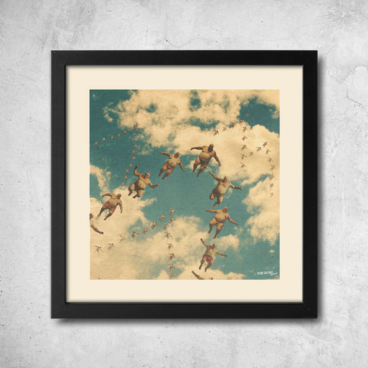 migratory birds