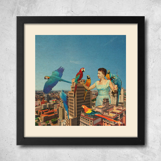 Pa-pa-parrot