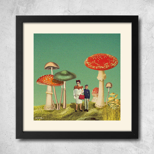 magic mushrooms