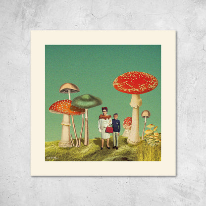 magic mushrooms